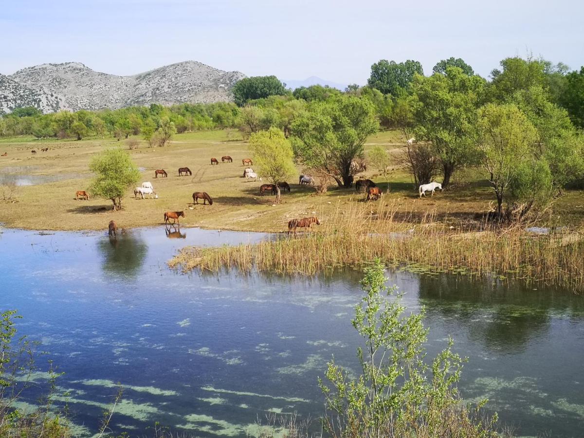 Wild Beauty House Skadar Lake Cetynia Zewnętrze zdjęcie